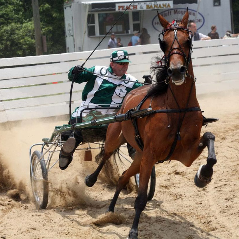 Saddlebred Blowing Rock Horse Show.jpg